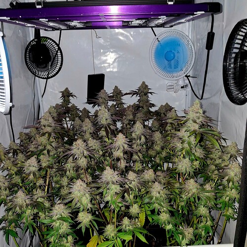 Growreport Bild 28