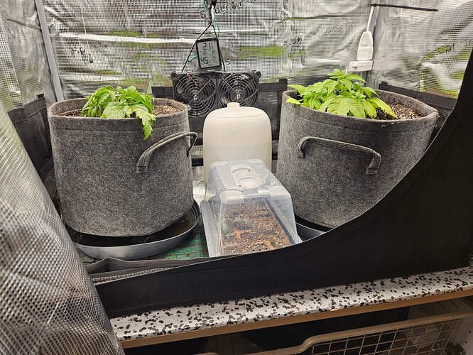 Growreport Bild 30