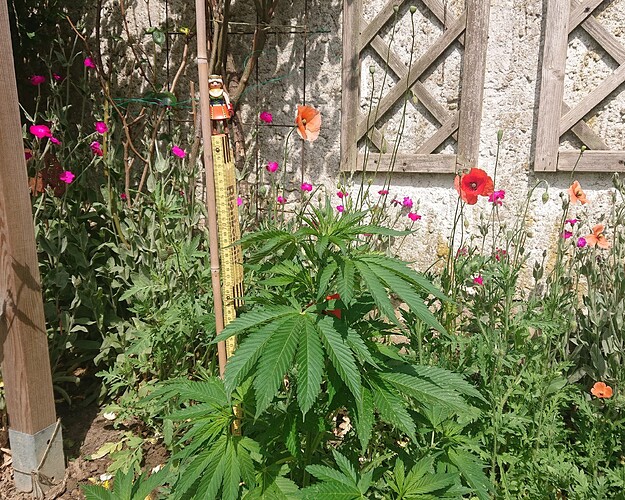 Growreport Bild 6