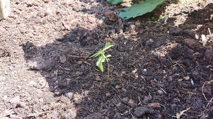 Growreport Bild 16