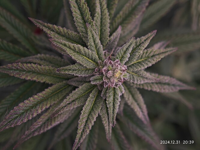 Growreport Bild 6
