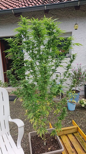 Growreport Bild 1