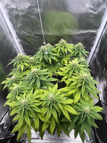 Growreport Bild 10
