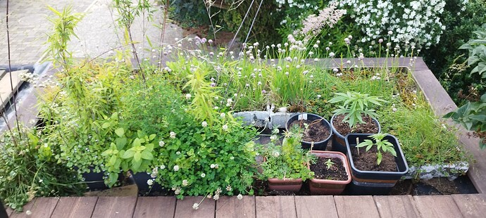 Growreport Bild 21