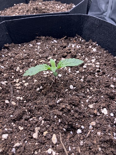 Growreport Bild 16