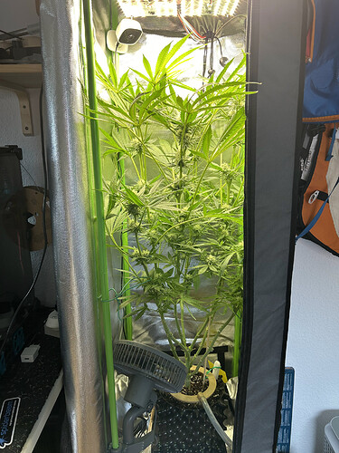 Growreport Bild 1