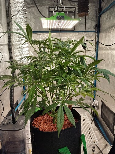 Growreport Bild 1