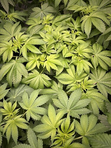 Growreport Bild 10