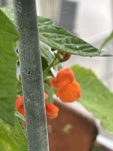 Growreport Bild 11