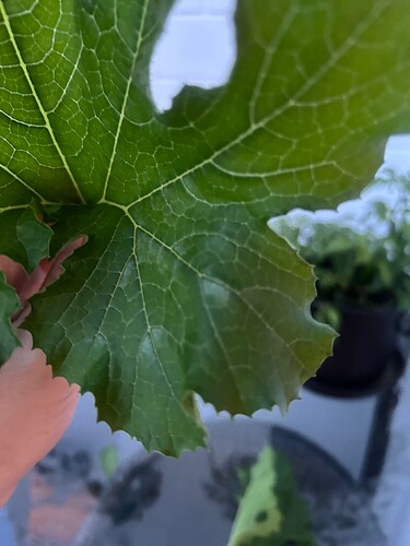 Growreport Bild 28