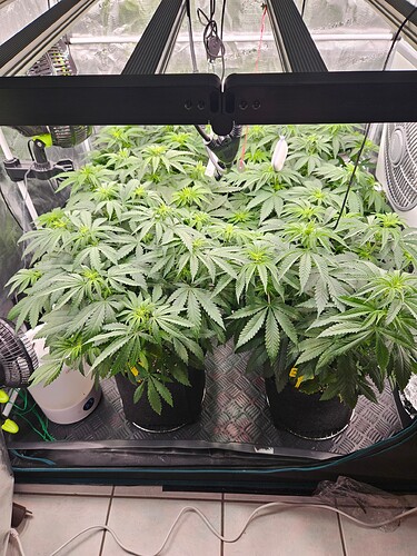 Growreport Bild 7