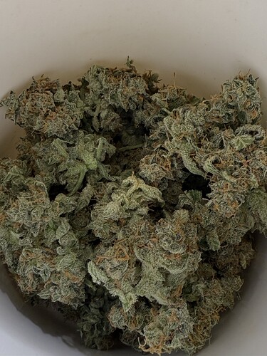 Growreport Bild 6