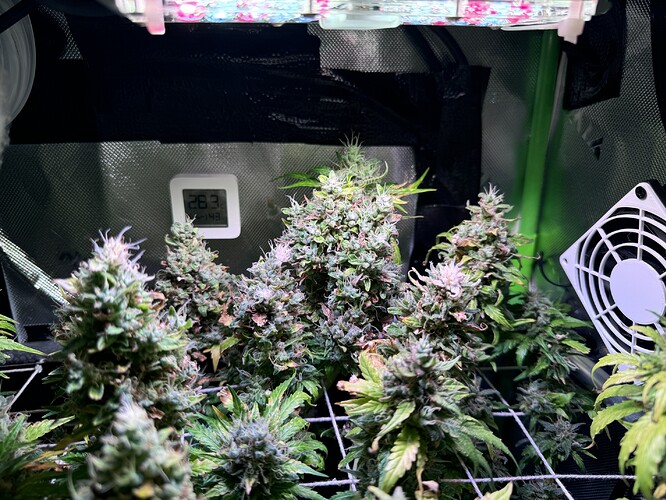 Growreport Bild 2