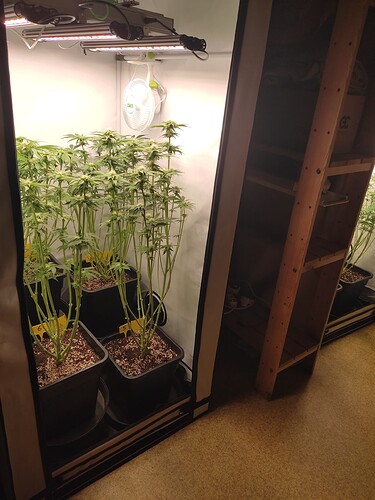 Growreport Bild 11