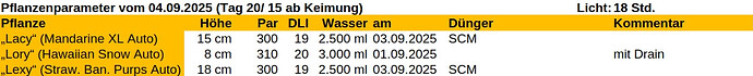 Growreport Bild 30