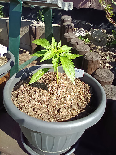 IMG_20240515_095704_9