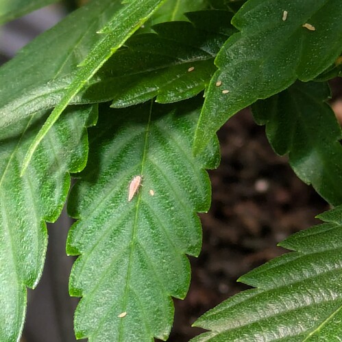Growreport Bild 14