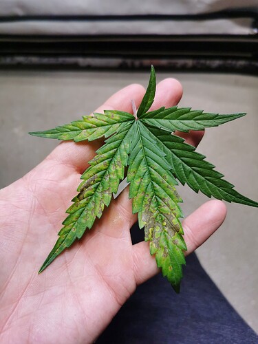 Growreport Bild 4