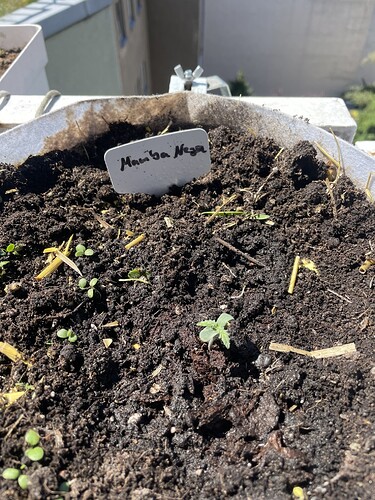 Growreport Bild 17
