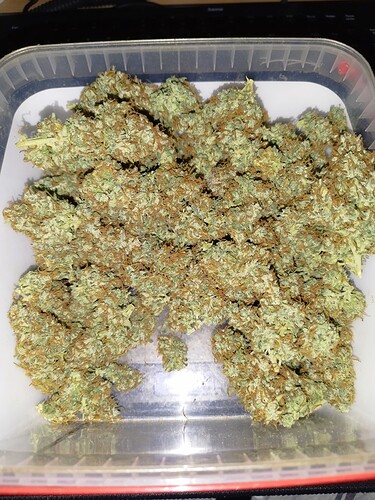 Ein Behälter voller getrockneter Cannabis-Buds.