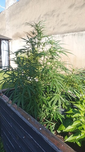 Growreport Bild 14