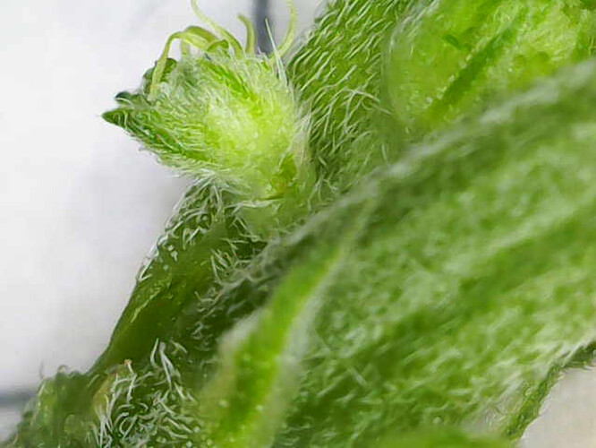 Image_2025-04-25 08_55_31_605