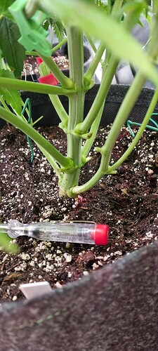 Growreport Bild 12