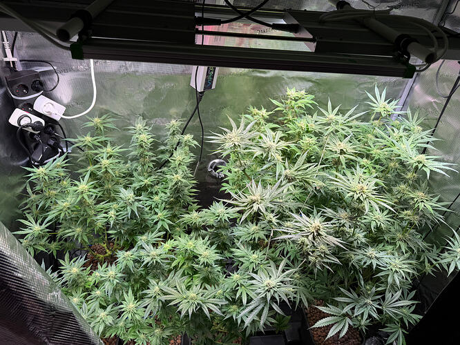 Growreport Bild 23