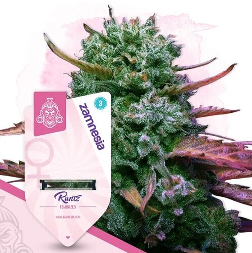 Growreport Bild 2