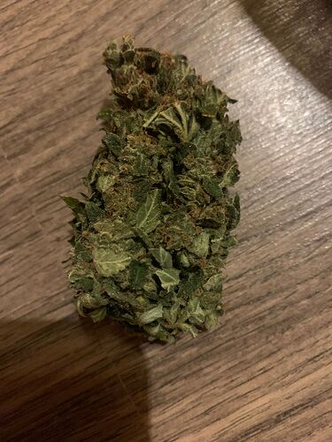 Growreport Bild 1