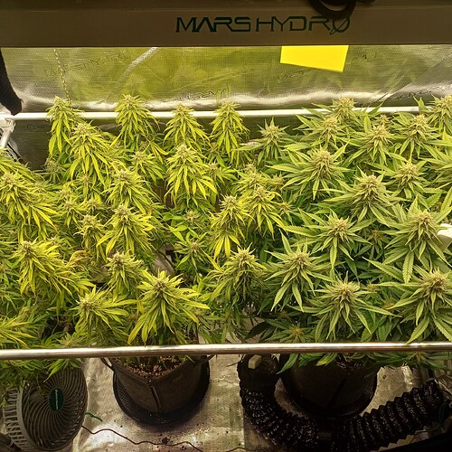 Growreport Bild 46