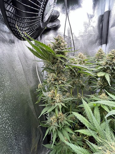 Growreport Bild 3