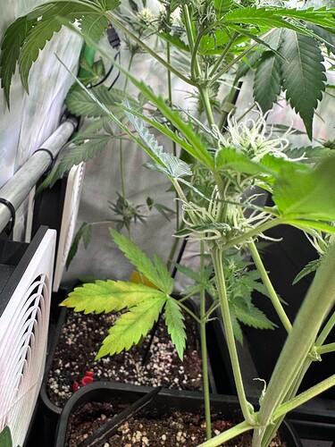 Growreport Bild 21