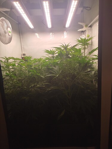 Growreport Bild 3
