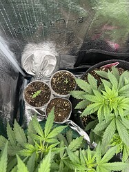 Growreport Bild 24