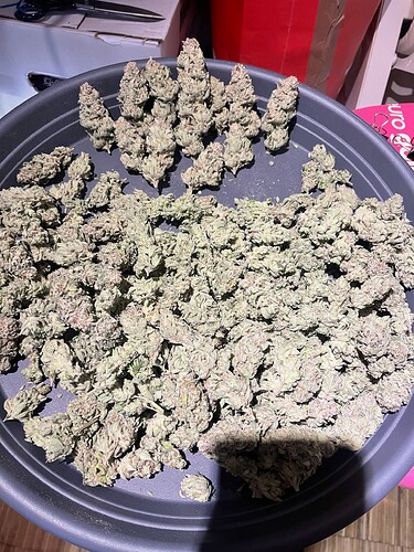 Growreport Bild 63