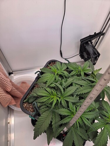 Growreport Bild 4