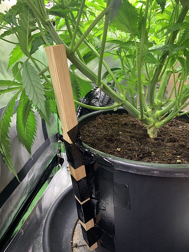 Growreport Bild 11
