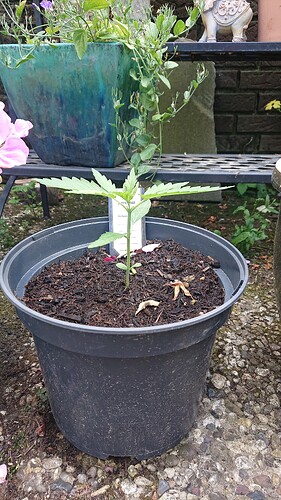 Growreport Bild 78