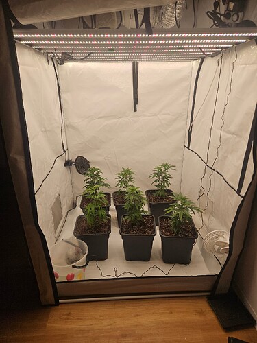 Growreport Bild 5