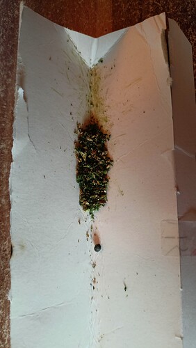 Growreport Bild 15