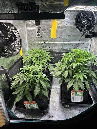 Growreport Bild 3