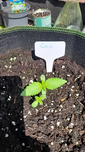 Growreport Bild 24