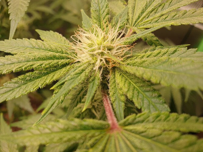 Growreport Bild 5