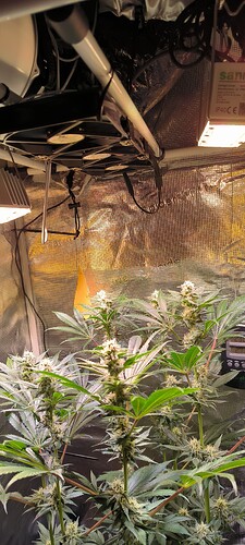 Growreport Bild 4