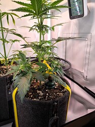 IMG_20240617_030428