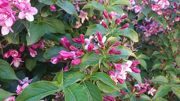Growreport Bild 7