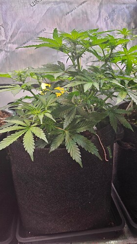 Growreport Bild 32