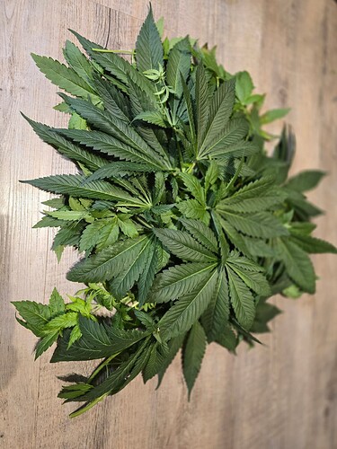Growreport Bild 14