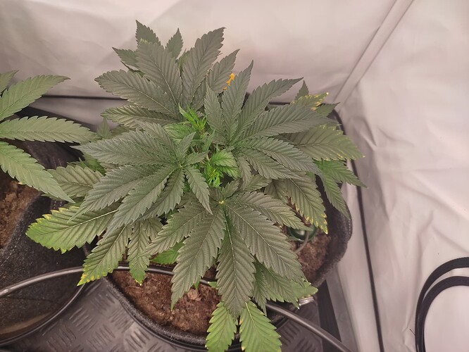 Growreport Bild 16